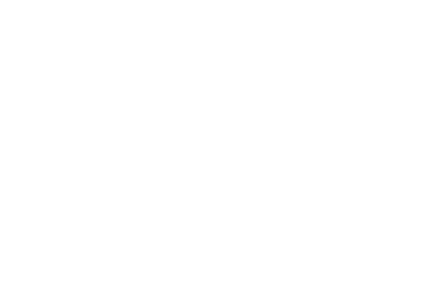 Susan B. Meister Child Health Evaluation and Research Center logo